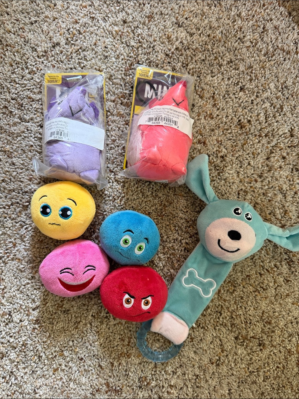 Squeaky Toy Bundle